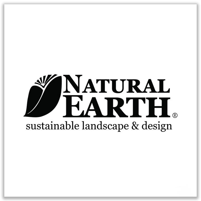 Strategic SEO Company 23 Natural Earth Logo SEO